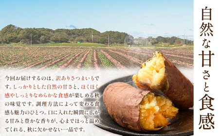 【先行予約】訳あり さつまいも 約5kg 日本フルーツ株式会社《2026年10月上旬-11月中旬頃出荷》熊本県 菊池市 さつまいも サツマイモ 訳あり 熊本県産