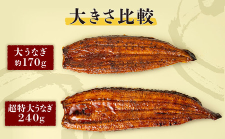 【 土用の丑の日特集 】 鹿児島産 超特大 うなぎ 蒲焼 240g×4尾 KN021-042-04 鰻 ウナギ 冷凍