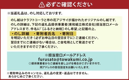 爆汗コーラシロップ 辛っコーラ サドンデス11 （11辛） 100ml クラフトコーラ コーラ コーラシロップ ジュース 飲料 岐阜県 美濃加茂市 常温