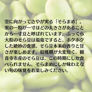 そら豆 約2kg