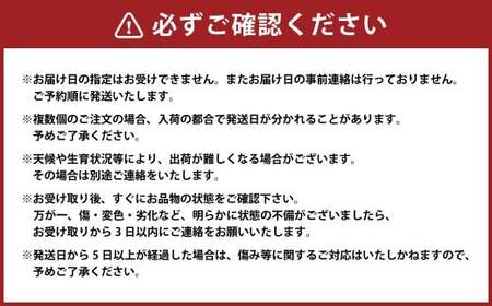 （訳あり） ブラックビート 2房 約1.1～1.2kg ぶどう ブドウ 葡萄 果物 くだもの フルーツ 常温 【2026年8月上旬～9月下旬迄発送予定】