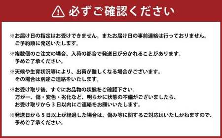（訳あり） シャインマスカット 1房 約500～550g マスカット ぶどう ブドウ 葡萄 果物 くだもの フルーツ 常温 【2026年8月上旬～9月下旬迄発送予定】
