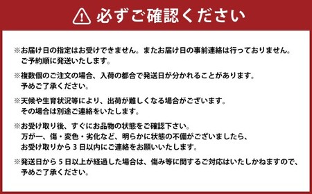 （訳あり） シャインマスカット 2房 約1.1～1.2kg マスカット ぶどう ブドウ 葡萄 果物 くだもの フルーツ 常温 【2026年8月上旬～9月下旬迄発送予定】
