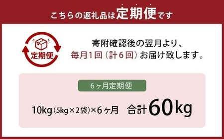 【6ヶ月定期便】 無洗米 食味鑑定士厳選 夢つくし 10kg（5kg×2袋）×6回 計60kg お米 米 白米 食品 ご飯 飯 九州 福岡県 香春町 令和7年