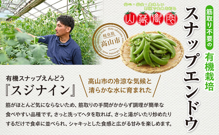 飛騨高山産 筋取り不要の有機栽培スナップエンドウ1kg（春限定・5〜6月発送）｜新鮮 春野菜 旬の味覚 えんどう 彩り野菜 山藏農園 JC019