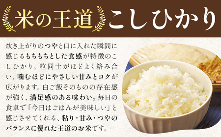 こしひかり 白米 10kg《1-5日以内に出荷予定(土日祝除く)》 茨城県 結城市 国産 おこめ コシヒカリ