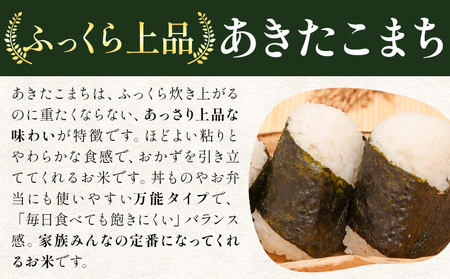 米 あきたこまち 白米 茨城 ふるさと米 20kg《1-5日以内に出荷予定(土日祝除く)》 茨城県 結城市 米 国産 お米 おこめ お弁当 おにぎり