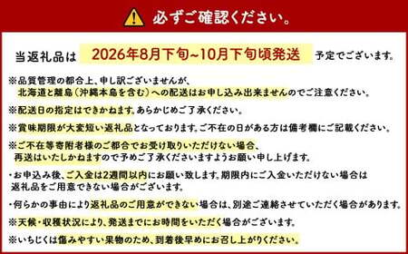 福岡県 ブランド いちじく「博多とよみつひめ」4パック フルーツ 果物 くだもの【2026年8月下旬～2026年10月下旬発送予定】