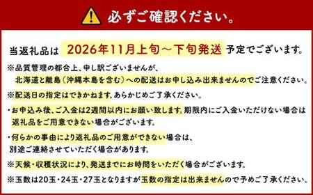博多 甘うぃ (キウイフルーツ)  約3.6kg キウイ フルーツ 果物 くだもの【2026年11月上旬～11月下旬発送予定】