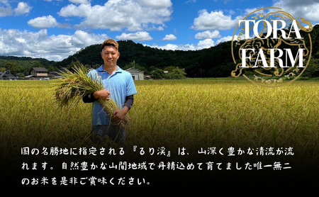 令和7年産 京都丹波産キヌヒカリ 5kg 米 ごはん きぬひかり