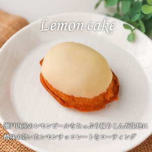 レモンケーキ 5個(家庭用・簡易包装) おかしの家Repos(ルポ)