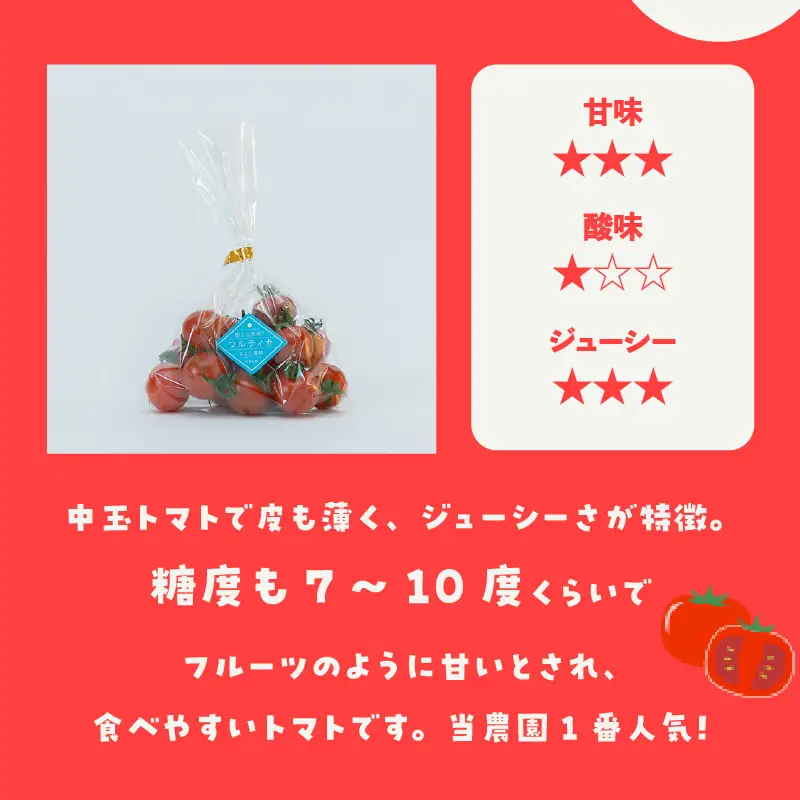【5月中旬以降発送】フルーツトマト　中玉フルティカ1kg