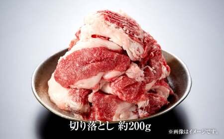 博多和牛の食べ比べセット 計450g （ 切り落とし 200g ＋ 肩ローススライス 250g ） 博多和牛 和牛 牛 お肉 ニク 肉 にく 食べ比べ セット 切り落とし 肩ロース ロース スライス 冷凍