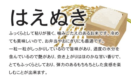 【令和8年産先行予約】 特別栽培米はえぬき無洗米 10kg (5kg×2袋)×12ヶ月【定期便】　鶴岡協同ファーム