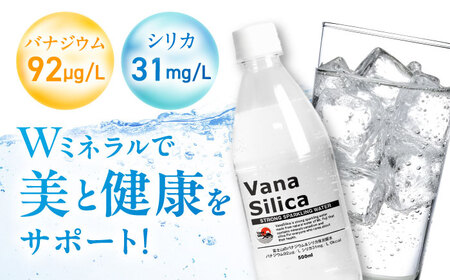 【全3回定期便】【2ヵ月に1回お届け】VanaSilica（バナシリカ）富士山のバナジウム＆シリカ 強炭酸水 500ml 24本 2箱（計48本）炭酸 強炭酸 炭酸水 大阪府高槻市/クリックル株式会社[AOEH043]