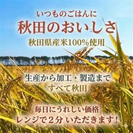 パックごはん180g40食　秋田米100%のごはん　オール秋田県産米使用　【配送不可地域：離島・沖縄県】【1708588】