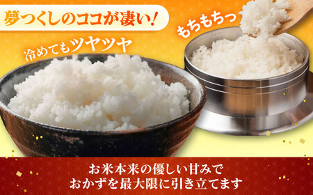 令和7年産 精米 夢つくし 5kg【ナガノノウエン】/築上町[ABEW001]