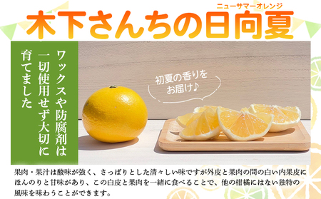 ＜木下さんちのニューサマーオレンジ 家庭用 約5kg（大中小サイズ混み）＞ 柑橘類 日向夏 ミカン 蜜柑 果物 くだもの フルーツ 国産 特産品 木下農園 愛媛県 西予市【常温】『2027年4月上旬～5月中旬に順次出荷』MKS0009