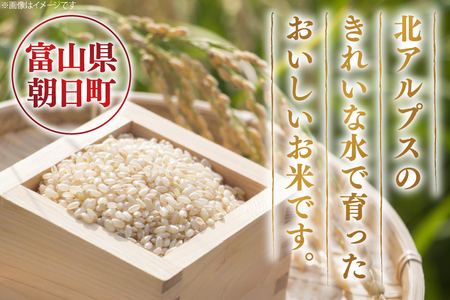 米 令和7年産 富富富 玄米 10kg [アグリ金山 富山県 朝日町 34310578]