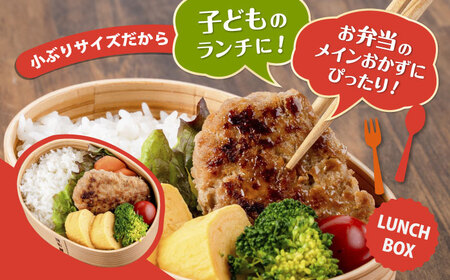 国産豚肉使用 精肉店の手づくりハンバーグ 10個【有限会社丸伸商事】[AKFH045]