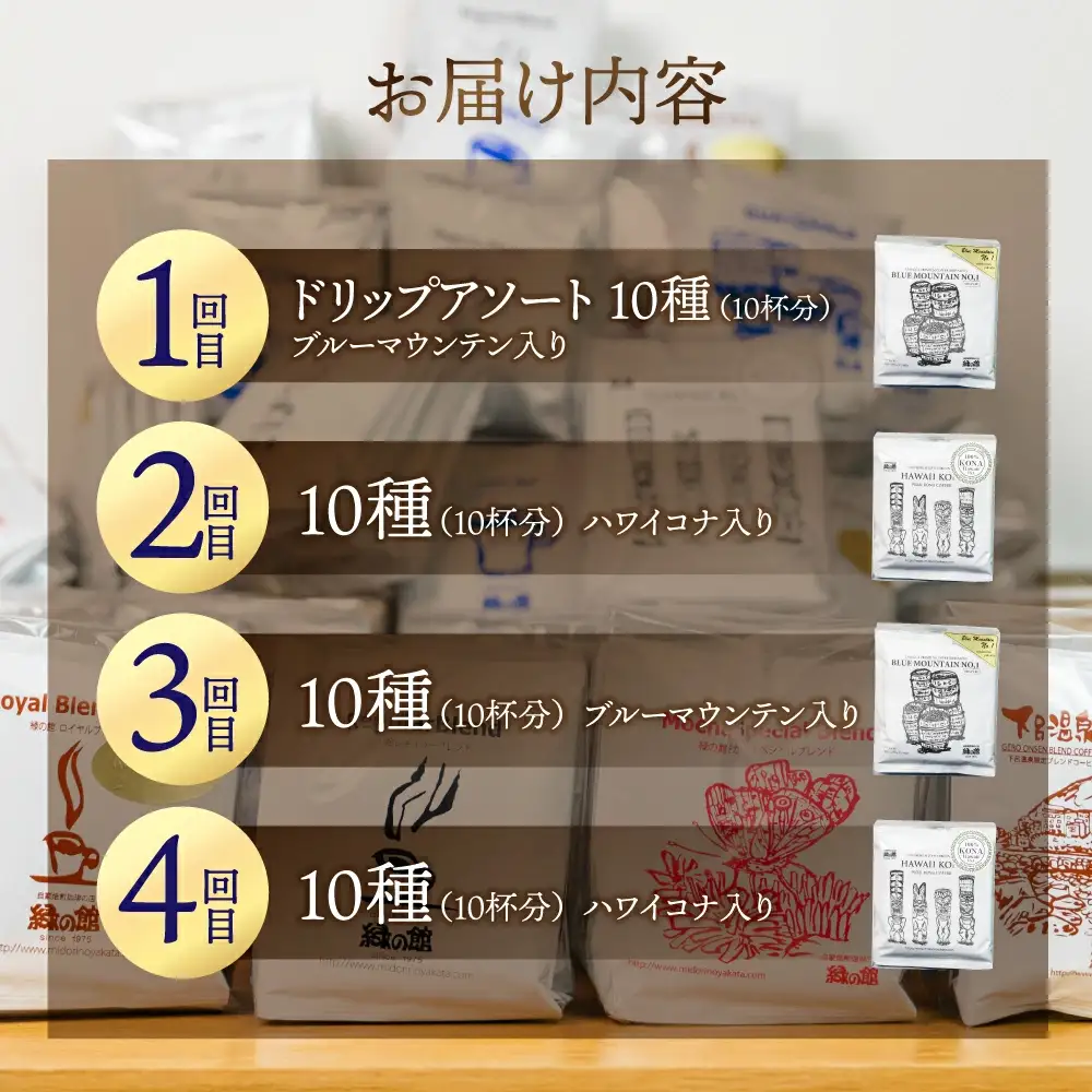 【定期便 4回】ドリップバックコーヒー 飲み比べ (10杯×4ヵ月 計40杯）【17-F】