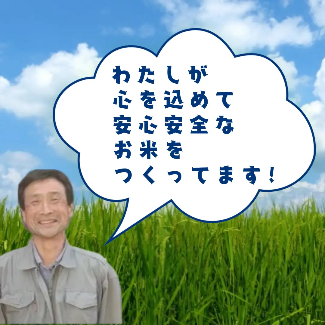 【令和7年産】新潟県産 純米コシヒカリ 20kg（5㎏×4袋） さいとう農園 白米 精米 米 こめ ごはん コシヒカリ こしひかり 1G19061