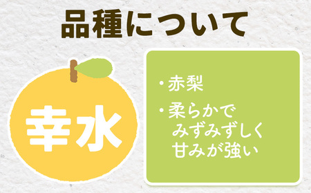【2026年先行予約】とっくんちの梨 幸水 約3kg 鈴木農園《8月上旬-8月下旬頃出荷》茨城県 結城市 数量限定 果物 フルーツ 甘み ジューシー 豊か 芳香 しゃりっ 爽やかな 季節【配送不可地域あり】(離島)