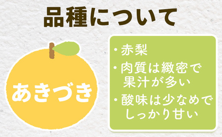 【2026年先行予約】とっくんちの梨 あきづき 約3kg 鈴木農園《8月下旬-9月中旬頃出荷》茨城県 結城市 数量限定 果物 フルーツ 甘み ジューシー 豊か 芳香 しゃりっ 爽やかな 季節【配送不可地域あり】(離島)
