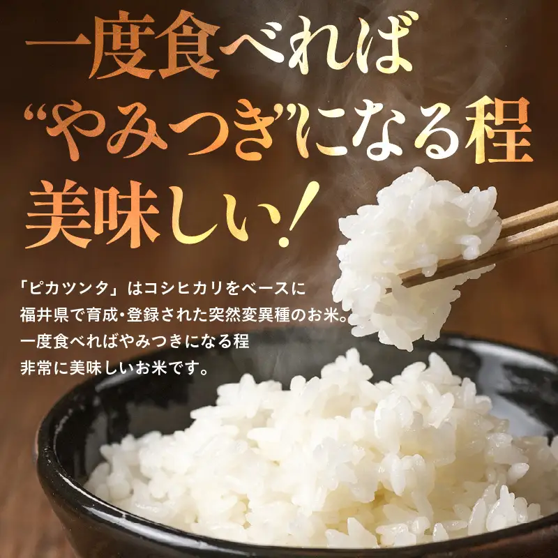 【令和7年産】化学肥料不使用 ピカツンタ 精米 4kg（真空パック1kg×4袋） [aw010-a032]