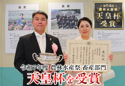 鶏肉 もも肉角切り 900g 定期便 6回 （900g×6回） 鶏もも モモ肉 唐揚げ 弁当 若鶏