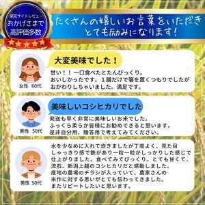 令和8年産【10月下旬配送】 新米 先行予約 新潟県産 コシヒカリ 5kg 最高品質のお米を追求し続ける 篠宮農場 上越市 精米