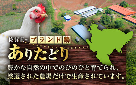 ありたどり むね肉 2kg × 2袋 計 4kg 鶏肉 鶏むね肉 吉野ヶ里町/上場食肉[FDQ001]