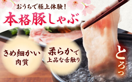 肥前さくらポーク ロース 500g × 5パック 計 2.5kg しゃぶしゃぶ 豚 豚肉 大容量 吉野ヶ里町/上場食肉[FDQ004]