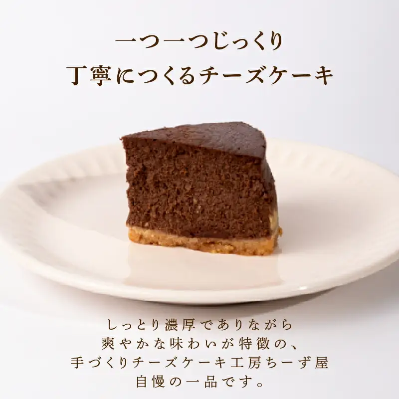 5回 定期便 チーズケーキ チョコレートニューヨーク