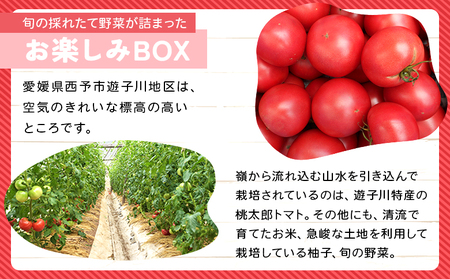 ＜旬の採れたて野菜が詰まったお楽しみBOX（3か月ごと年4回の定期便）＞ 西予市遊子川産 農家さんの顔が見える野菜 定期便 野菜 食べて応援 特産品 遊子川ザ・リコピンズ 愛媛県 西予市【常温】『【1回目】毎月末日までの申込で翌月中旬より順次発送』SYR0009