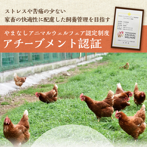 【2ヶ月定期便】忍野の平飼い卵20個×2回 ※割れ保証含む 卵
