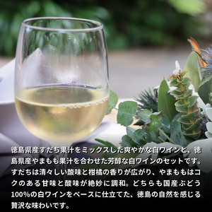 ワイン 飲み比べ 阿波の彩りセット すだちワイン やまももワイン 各720ml 【共通返礼品】