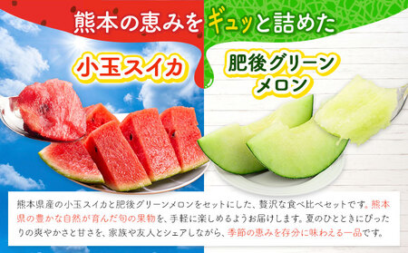 小玉スイカ&肥後グリーンメロン 食べ比べ 各2玉(計4玉 約7kg) 日本フルーツ株式会社 《5月中旬-7月末頃出荷》 熊本県 菊池市 西瓜 メロン 熊本県産