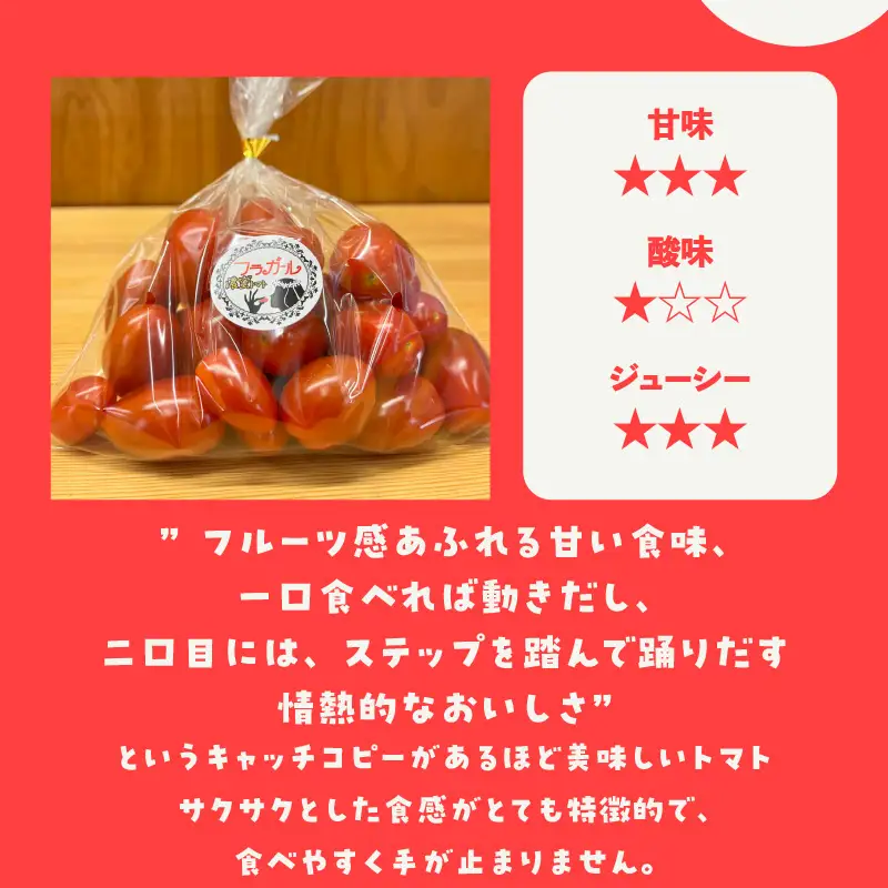 【5月中旬以降発送】フルーツトマト　フラガール1.4kg（へたなし）