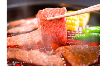 伊賀牛 上カルビ焼肉 約500ｇ【cook0054】