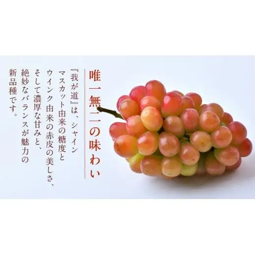 【 訳あり 】 我が道 3kg 【2026年9月発送開始】(茨城県共通返礼品：大子町)