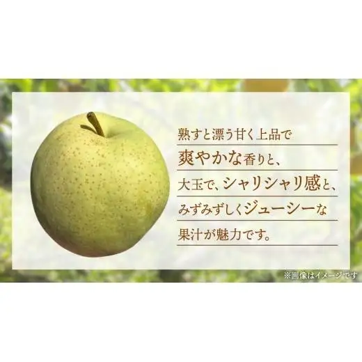 かおり 梨 5kg 【2026年8月中旬発送開始】(茨城県共通返礼品：大子町)