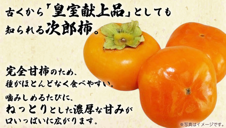 次郎柿 3kg 【2026年9月上旬発送開始】(茨城県共通返礼品：大子町)