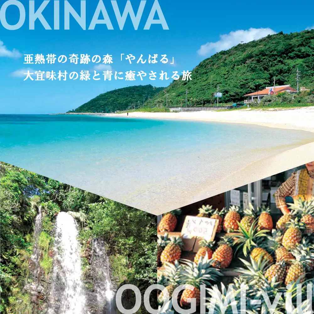 【旅行クーポン】沖縄大宜味村 後から選べる旅行9万円分