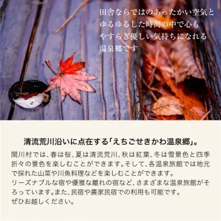 選ばれる温泉体験 24,000円分の温泉宿泊利用券【1711714】