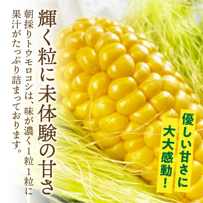 【感動の甘さ】とうもろこしプレミアム味来  6本入り／2箱・H075-18