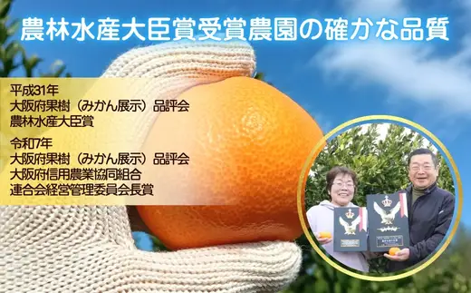 先行予約 2026年11月下旬より発送 【 農林水産大臣賞受賞 】 甘さが違う極上みかん 5kg 