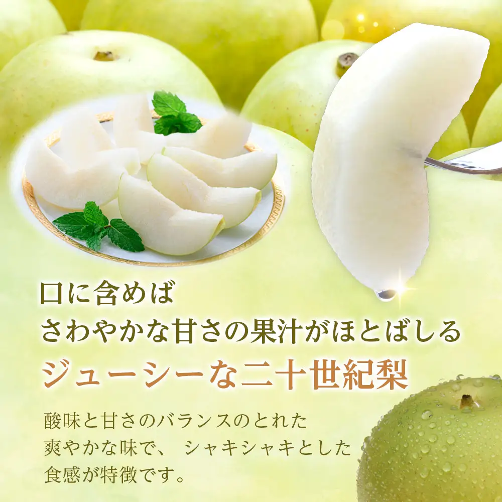 先行予約 二十世紀梨 3kg 2026年9月発送 梨