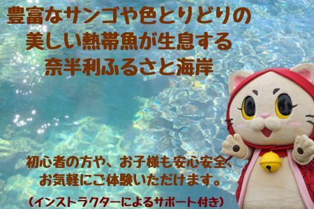 116025　サップ+シュノーケリング60分遊び放題プラン利用券（１名） 期間限定 春 夏 秋 マリンアクティビティ シュノーケリング アウトドア 海遊び 海 サップ SUP