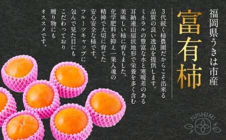 【先行予約】西見柿農園 富有柿 6玉から8玉 (約2kg) 【2026年11月上旬-12月上旬発送予定】 柿 かき カキ 果物 くだもの フルーツ 果実 ジューシー お取り寄せ 福岡県 うきは市